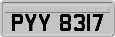PYY8317