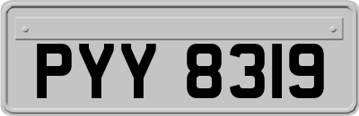 PYY8319