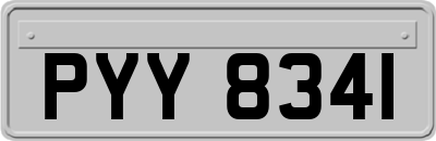 PYY8341
