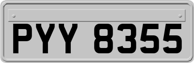 PYY8355