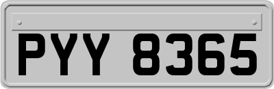 PYY8365