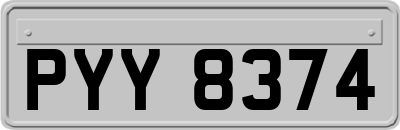 PYY8374