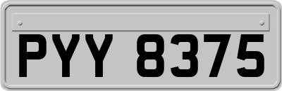 PYY8375