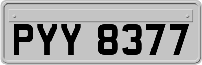 PYY8377