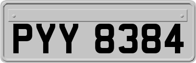 PYY8384