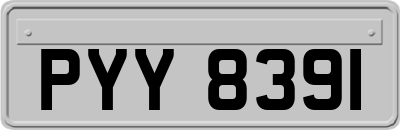 PYY8391