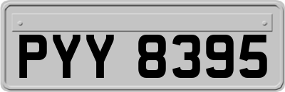 PYY8395