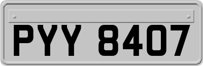 PYY8407