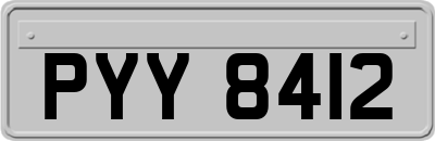 PYY8412