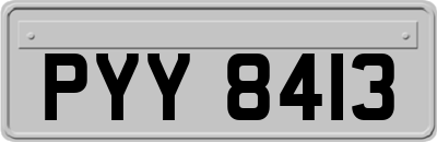 PYY8413