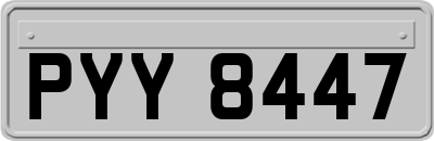 PYY8447