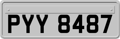 PYY8487