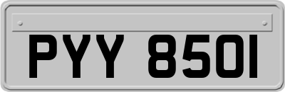 PYY8501