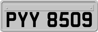 PYY8509