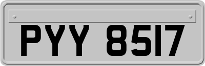 PYY8517