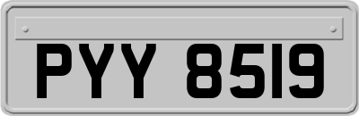 PYY8519