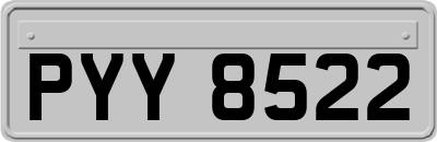 PYY8522