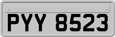 PYY8523