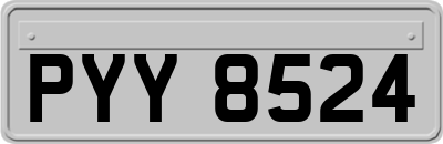 PYY8524
