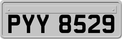 PYY8529