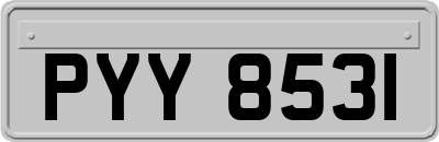 PYY8531