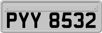 PYY8532