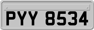 PYY8534