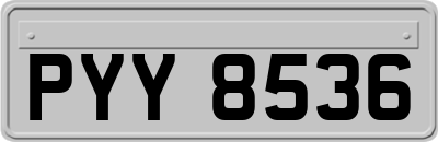 PYY8536