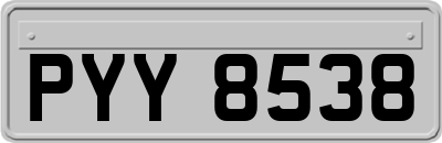 PYY8538