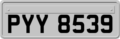 PYY8539