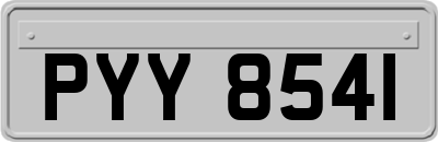 PYY8541