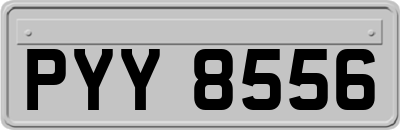 PYY8556