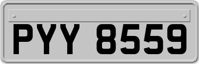 PYY8559