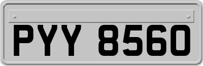 PYY8560