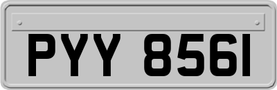 PYY8561