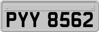 PYY8562