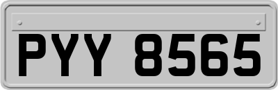 PYY8565