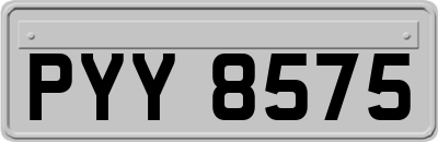 PYY8575