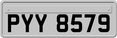 PYY8579