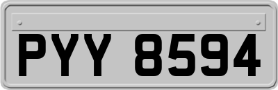 PYY8594