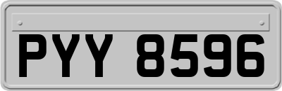 PYY8596