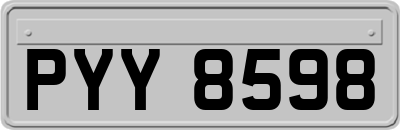 PYY8598