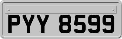 PYY8599