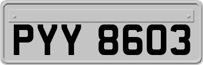 PYY8603