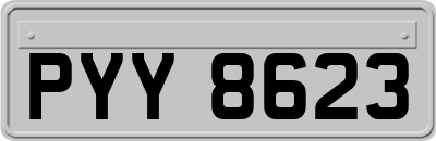 PYY8623