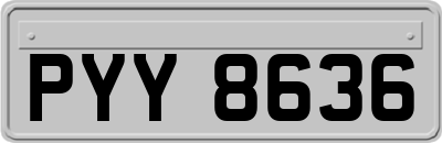 PYY8636