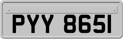 PYY8651