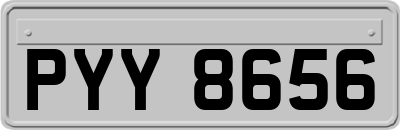 PYY8656