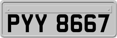 PYY8667