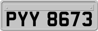 PYY8673